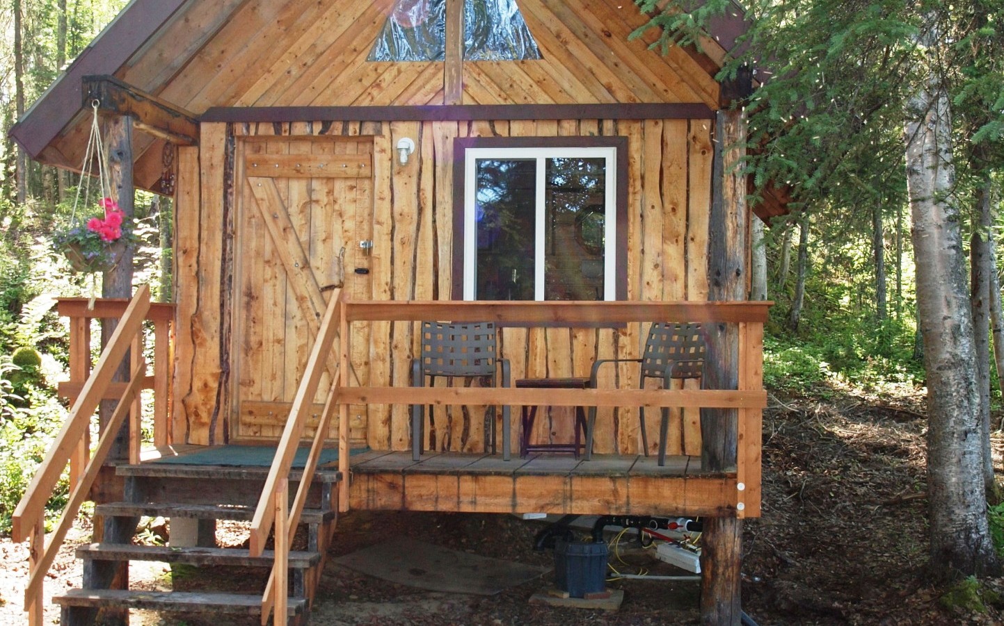 Bird Cove cabin