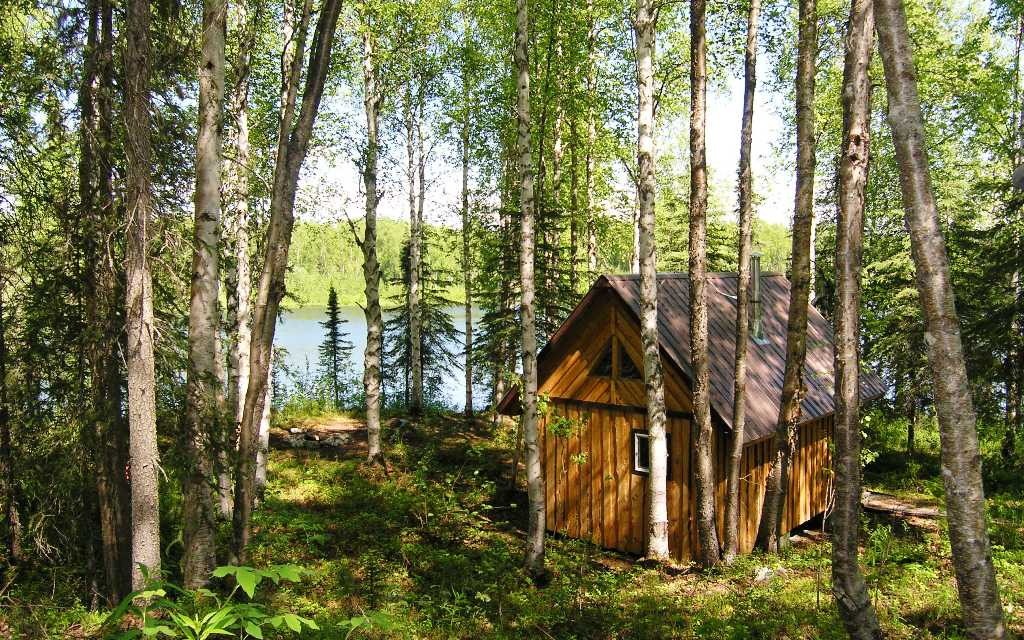 Bird Cove cabin